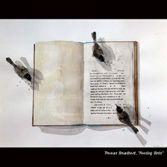 Feeding Birds,Thomas Broadbent