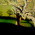 20110207193715-pb-shadowport-all01c