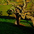 20110207193909-pb-shadowport-all01e