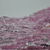 20110930120212-nikonhighpixeljune2011_224