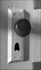 20110208104907-alice_just_left__300_