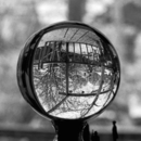 20110208112455-looking_into_the_present__300_