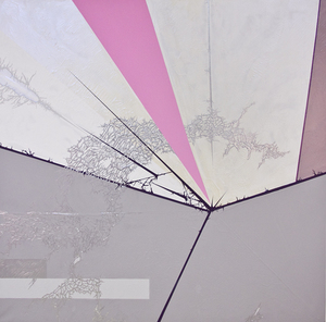 20110208144448-davidow_diagram7