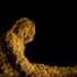 20110208153757-02_melhus_startseite