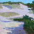 20110208165943-shapedbythesea