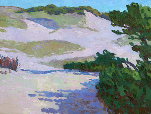 20110208165943-shapedbythesea
