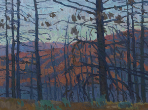 20110208171717-charred_landscape__san_gabriels