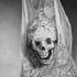 20110209085759-lady_death