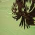 20110210102143-lluvaas_skyscraper_palms_closeup_2