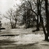 20110210134727-printmaking_10
