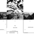 20110210135400-farnault_giora_drawing