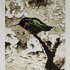 20110210212725-littlejewel