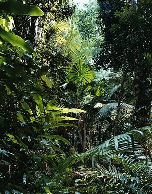 20110211031523-07301_46x36_72dpi_a4616eea2d