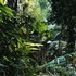 20110211031523-07301_46x36_72dpi_a4616eea2d