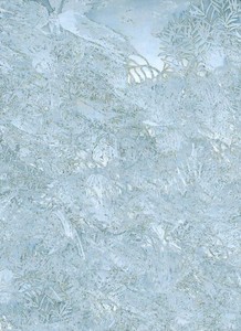 20110211135640-polar_sky__fghtbtwntgrbffl_