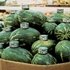 20110212083826-22420w_catsandwatermelons