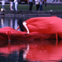 20110212125856-storm_reader_for_cork_2005