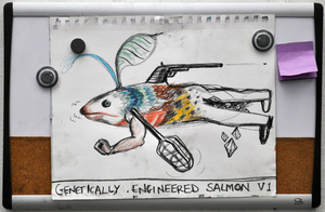 20110212165914-genetically_enginered_salmon