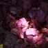 20110213001135-img_0985