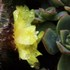20110213001152-img_1003
