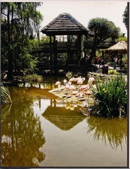 Zoo,Carolyn Ramos