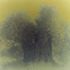 20110213091701-olive_13