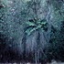 20110213094815-cipoal