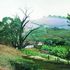 20110213100219-fazenda