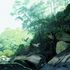 20110213100722-gar_as_espantadas