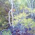 20110213111459-natureza_viva_com_pedra_azul