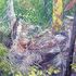 20110213112757-natureza_viva_com_folhas_de_palmeira
