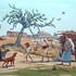 20110213113404-nikolay_nekrasov_nas_estradas_rurais_da_paraiba