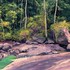 20110213120502-riacho_na_mata