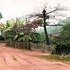 20110213121547-rua_de_aldeia
