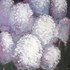 20110213124612-image008__2_