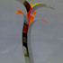 20110214163529-xflower