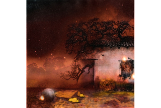 Star Gazing,Maria Foly