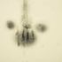 20110215042709-hand