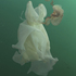 20110215063703-liquid_ground_1_invite_image_cropped_72dpi