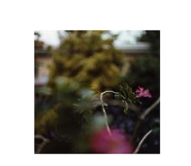 ,Peggy Levison Nolan