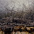 20110216042326-gentle_surrender_60x70_2010