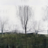 20110216054822-tree