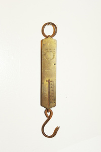 20110216094813-weight_hook