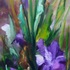 20110216143012-dscn4056