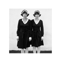 Hats Off to Diane Arbus,Amy Bystedt, Sally Egan