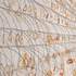 20110216155808-20110121102658-takizawa