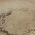 20110217011544-the_olive_way_disc_2_still_2