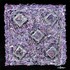 20110217060103-low_res_sona_enigma_of_euryphaessa_-_lgr