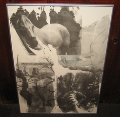 Horse Silt (Night Sights Series),Robert Rauschenberg