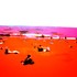 20110218031019-un_dia_en_la_playa_ii_80x100a